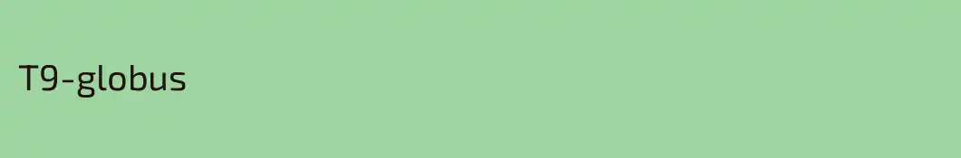 Т9-globus 
